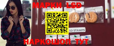 apvp Славгород
