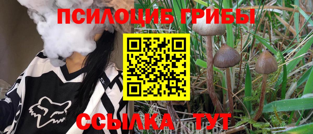 Псилоцибиновые грибы ЛСД Пенза