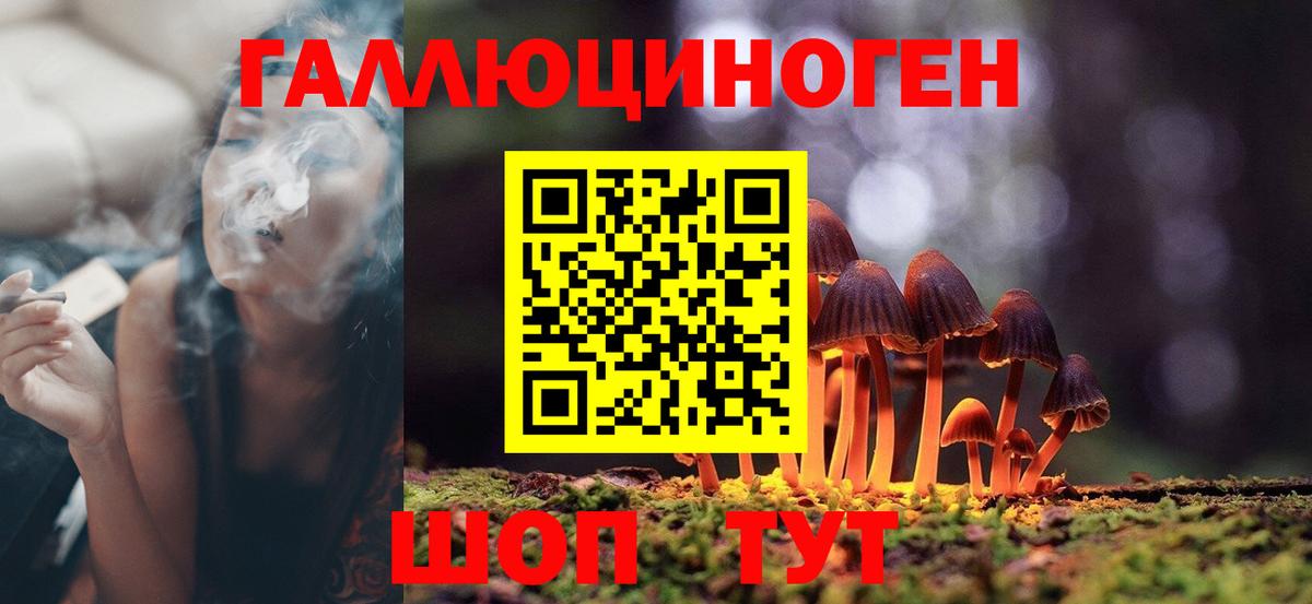 Галлюциногенные грибы Psilocybe  Вход с VPN  Пенза  Псилоцибиновые грибы прущие грибы 